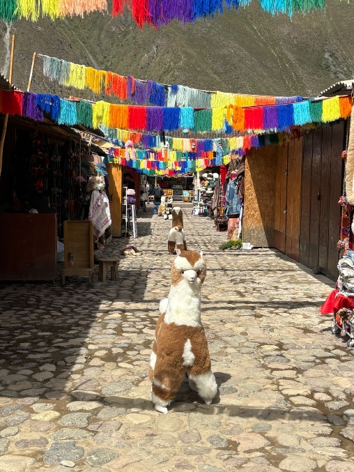 Sacred Valley market